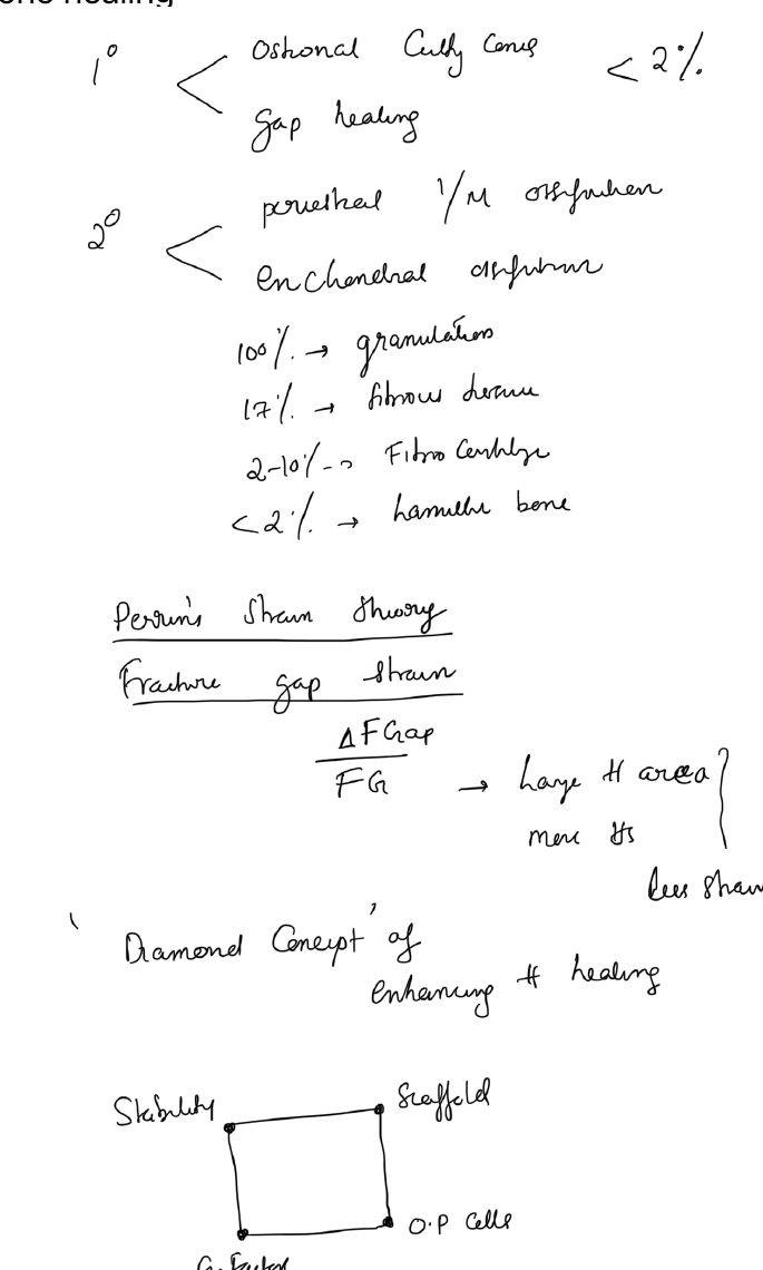 Strain and bone healing concepts
