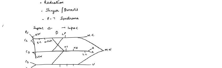 Brachial plexus
