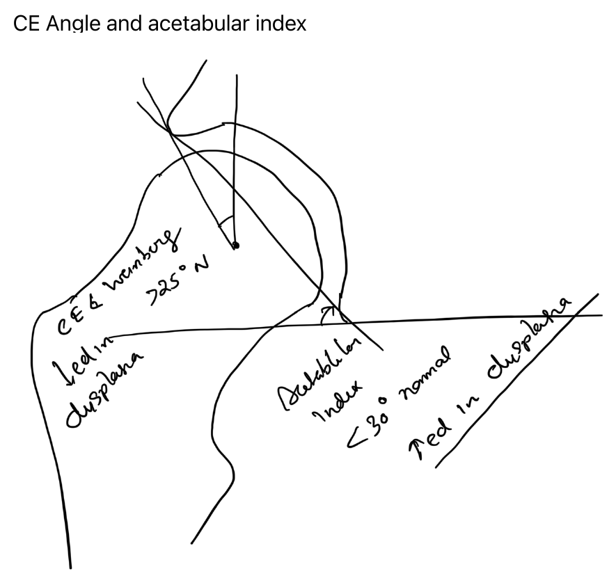Centre-edge angle and acetabular index