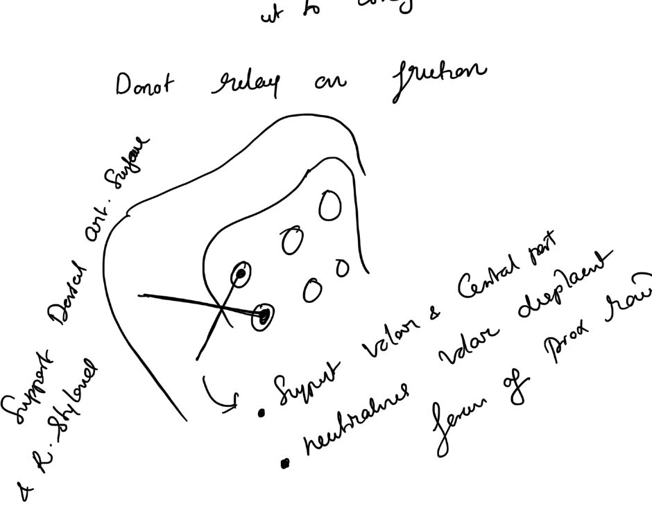 Volar locking plate principles