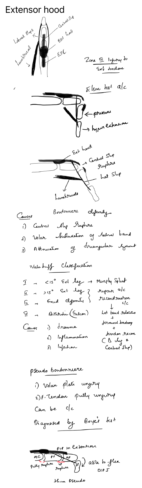 Extensor hood