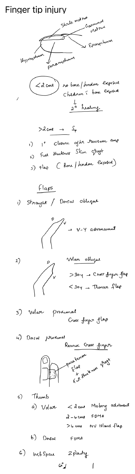 Fingertip injury