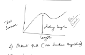 Length–tension relationship relevant to tendon transfer
