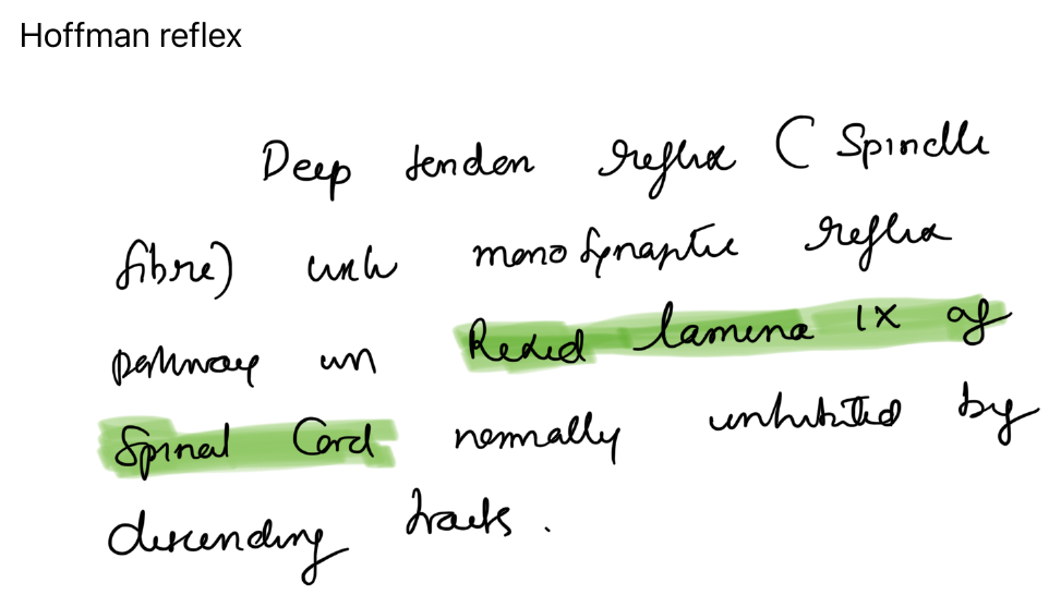 Hoffman reflex note