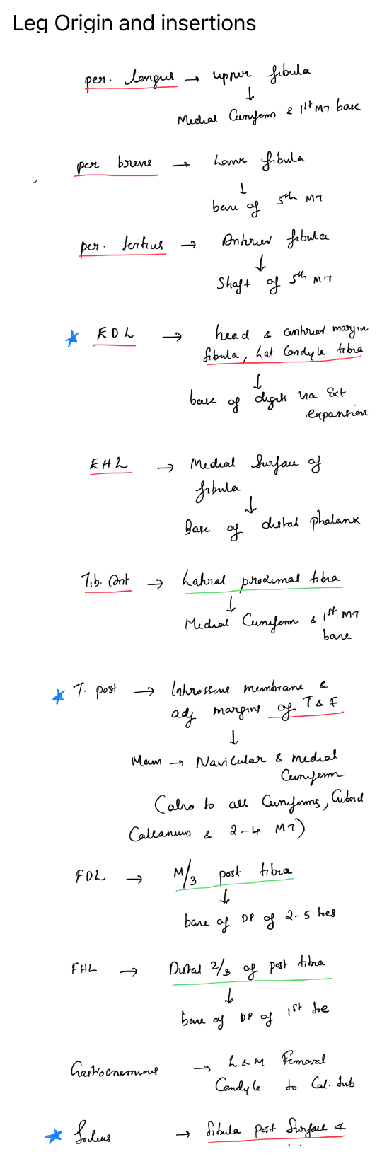 Leg origins and insertions