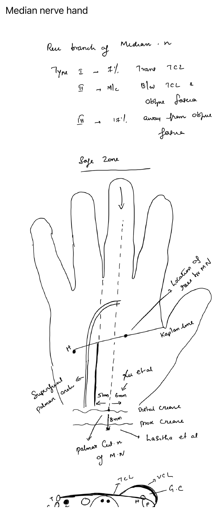 Median nerve in the hand