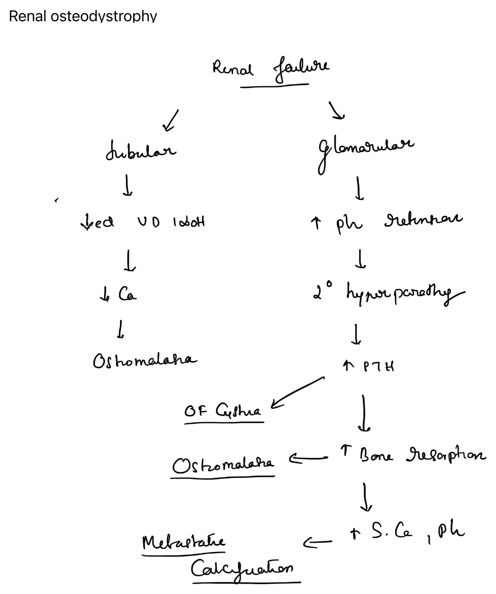 Renal osteodystrophy