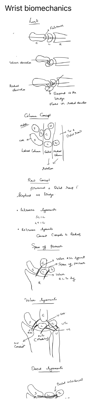 Wrist biomechanics